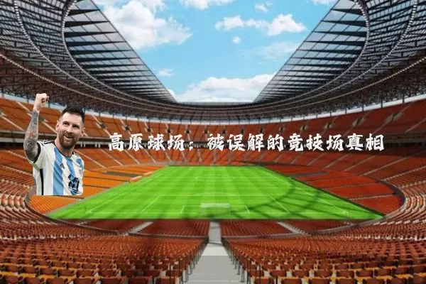 高原球场：被误解的竞技场真相